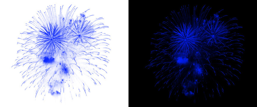 Blue fireworks burst on white and black backgrounds, vibrant pyrotechnic explosion set, festive blue firework display for celebration and events