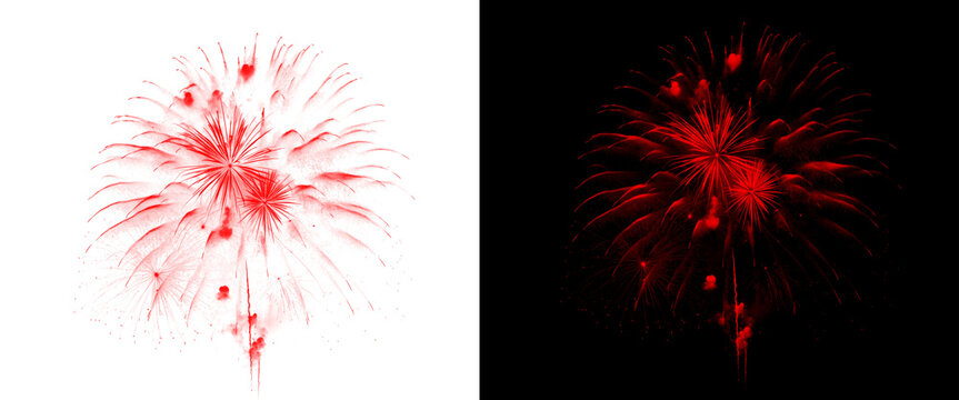 Red fireworks explosion isolated on white and black background, festive pyrotechnic burst set, vibrant red firework display for holiday celebration