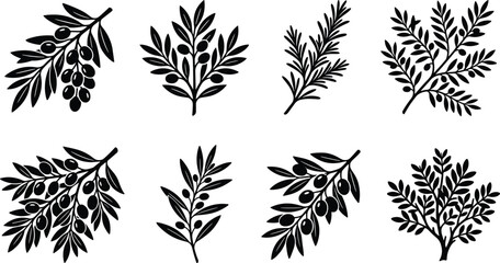 Botanical branch silhouette collection with foliage, leaves, and berry sprig vector designs © Abujh