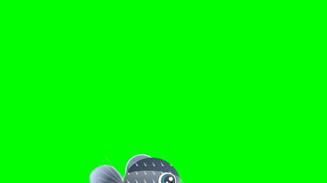 Seamless flag animation on chroma key green screen background featuring waving motion. Versatile stock clip with green, white tones for microstock and broadcast distribution.