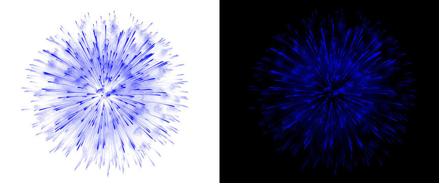 Abstract blue dandelion flower burst on white and black backgrounds, organic sphere of light and energy, microscopic virus or pollen cell structure