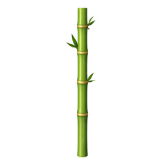 Obraz premium Bamboo stalk with green leaves and golden bands on a white background symbolizing nature