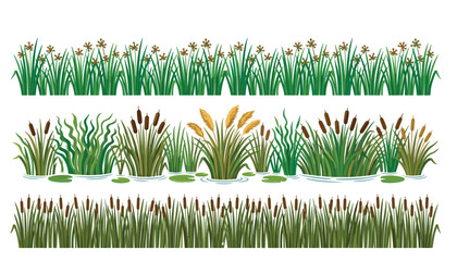 Lake aquatic plant border and swamp reed vector set. Cattails, river grass, water lily pads, marsh bulrush, lake weeds and nature frames. © Creative Studio 