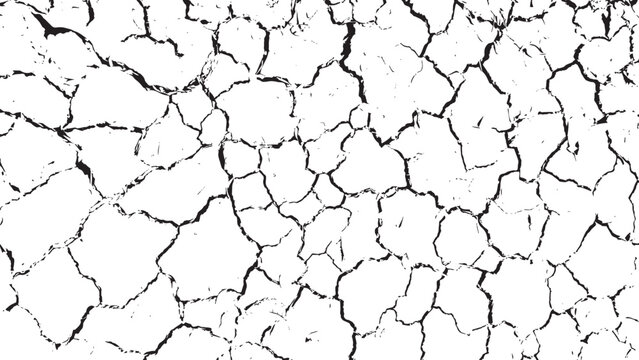 Dry Terrain with Cracked Concrete White Wall Texture, Vintage Old Wall Background with Black and White Scribble Effect, Ground Fractures and Breaks on Land Surface, Grunge Abstract Crack Pattern Vecto