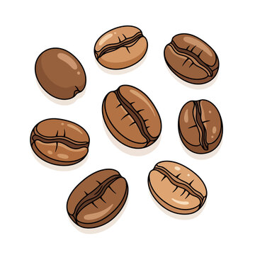 Various brown roasted coffee beans arranged in a circle isolated on white background