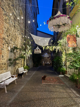 Sarzana