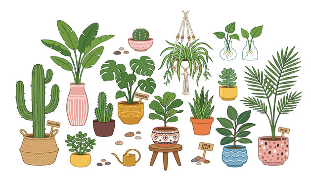 Potted houseplant collection and indoor garden botanical vector set. Monstera, saguaro cactus, snake plant, palm, macrame hanger and watering can.