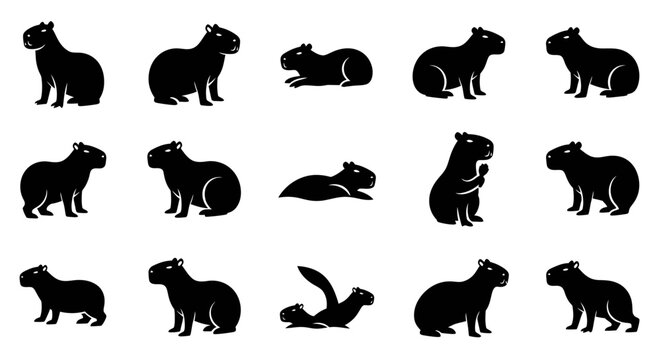 Various guinea pigs are sitting and lying in different positions.