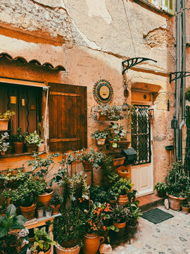 Potted plants outside house in Biot, French Riviera