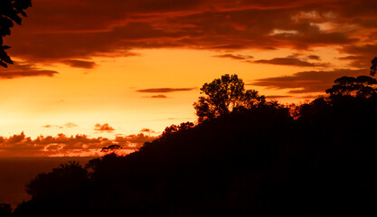 Fototapeta premium Jungle Sunset Silhouette in Costa Rica