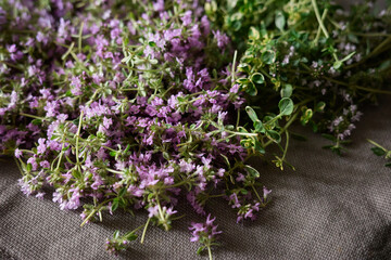 Vibrant herbs and flowers create a natural tapestry on a rustic fabric backdrop © mira_y