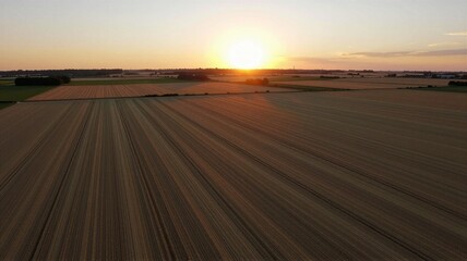 Fototapeta premium Sunset Over Harvested Fields