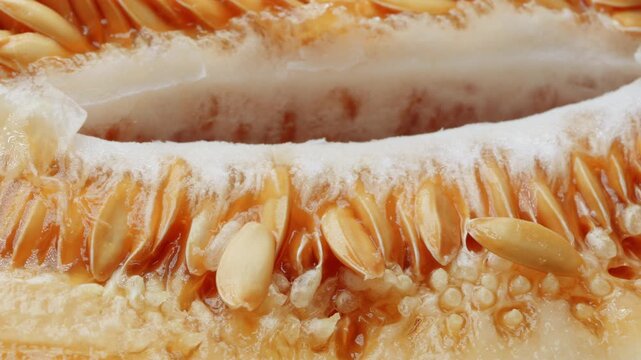 Honeydew melon and seeds close up rotating camera motion stock footage