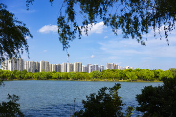 City Skyline Across a Lake Framed by Trees © TuongDuc