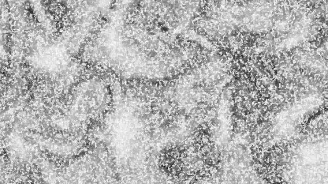 Abstract liquid tv static noise background, monochrome black and white fluid distortion loop.