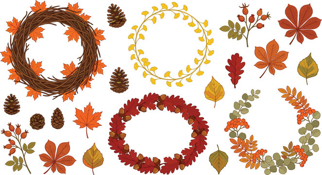 Autumn floral wreath and fall leaf collection with pinecones, branches, seasonal foliage and decorative botanical elements