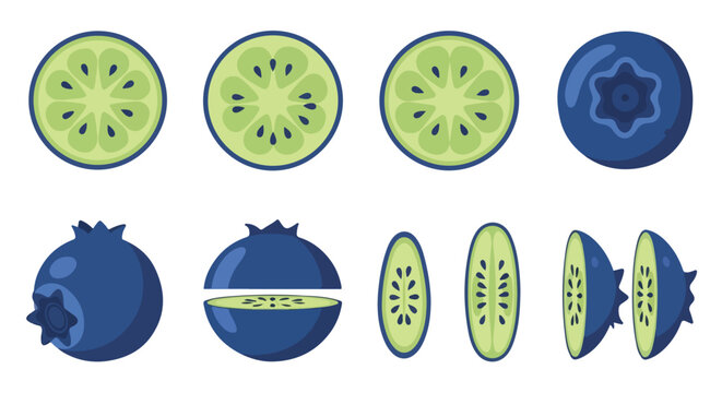 Blueberry and Green Fruit Slices Vector Illustration Set