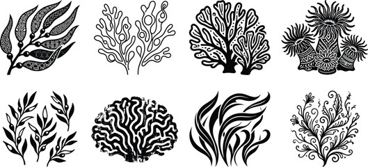 Underwater Coral Reef and Seaweed Vector Icon Set Featuring Aquatic Plants Marine Algae and Kelp Designs © MstMahurun
