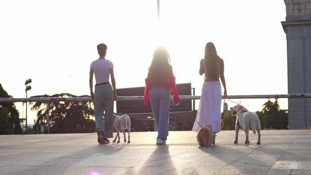 Three women walking their dogs away from camera at sunset