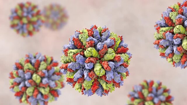 Rabbit haemorrhagic fever virus particles, 3D animation showing slowly rotating non-enveloped calicivirus virions, illustrating highly contagious viral disease in rabbits.