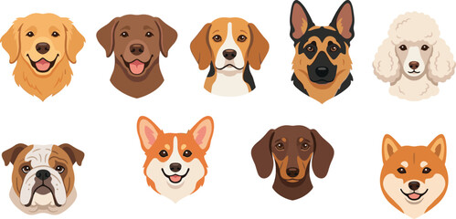 Obraz premium Dog Breed Avatars and Head Portraits Vector Collection Featuring Popular Breeds Like Golden Retriever, German Shepherd, Bulldog, Corgi, and Shiba Inu