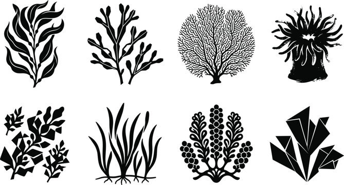 Collection of Marine Plant and Coral Silhouettes Featuring Seaweed, Kelp, Anemone, Seagrass, and Crystal Formation