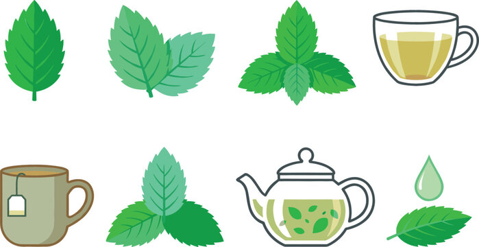 Herbal mint tea icon bundle with organic spearmint leaf sprigs clear hot beverage cup healthy infusion drink glass teapot for cafe menu design layout