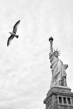 Statue of Liberty and a seagull soaring through the sky, capturing the spirit of freedom and travel at the iconic landmark on Liberty Island, New York City.