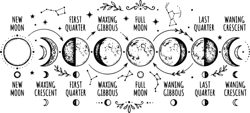 Moon phases. Mysterious moonlight activity stages, hand drawn sacred geometry moon, magic astrology symbols, phases of moon vector illustration. Mystic lunar phases for tattoo drawing