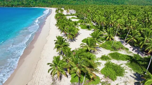 Beautiful beach landscape with palm trees on white sand, drone view. Paradise island on a sunny summer day. A romantic, idealistic image of an exotic beach vacation. Sunny beach and tropical sea.