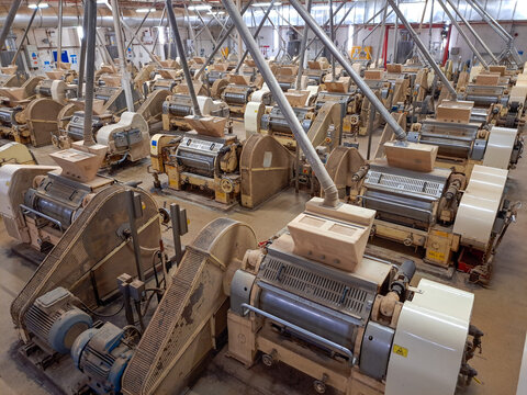 Industrial Flour Mill Interior With Rows Of Milling Machines And Rollers In Production Plant