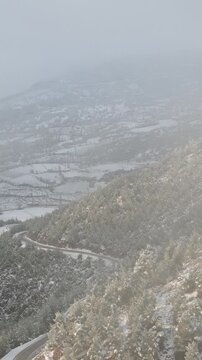Winter Foggy Forest Aerial View