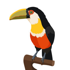 Obraz premium Vector toucan bird sitting on branch. Tropical exotic animal design element for summer travel banner, zoo poster, print