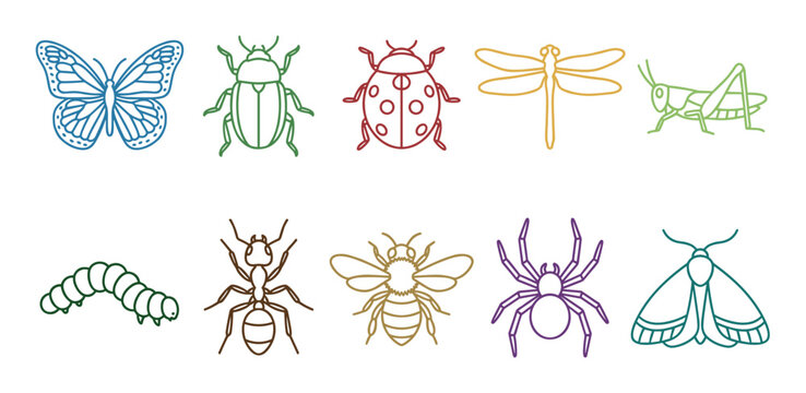 Various colorful outline insect icons representing common garden bugs like butterflies, ladybugs, bees, and ants in a modern graphic design style.