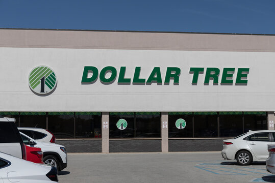 Dollar Tree Discount Store. Dollar Tree offers an eclectic mix of products for a dollar and a quarter. Or more.