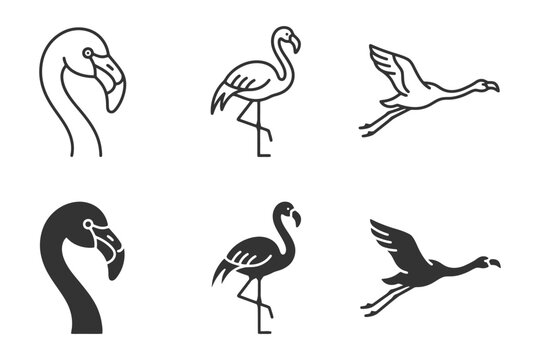 Collection of flamingo silhouettes and line drawings in various poses.
