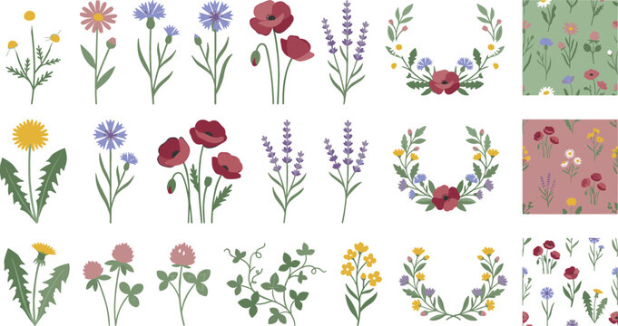 Wildflower vector bundle featuring poppy lavender dandelion clover cornflower blossoms botanical wreaths and seamless patterns isolated on a white background.