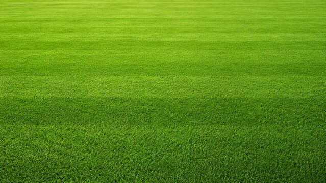 Horizontal Mowing Line Football Grass Background with Copy Space