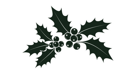 Fototapeta premium Holly leaves and berries on white background