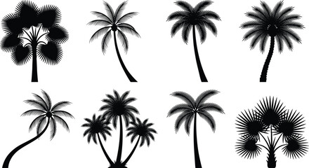 Obraz premium palm tree silhouette, tropical tree, coconut tree, exotic nature, summer vacation