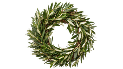 Green olive branch wreath with natural twigs, isolated on transparent background © Jonathan