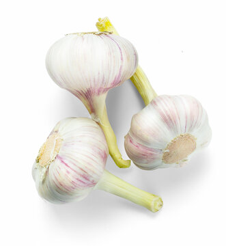 fresh garlic isolated,  food сollection set, transparent PNG with natural neutral shadow