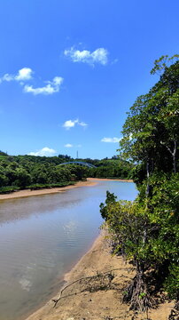 View to River and Bridge from Shore with mangrove Forest