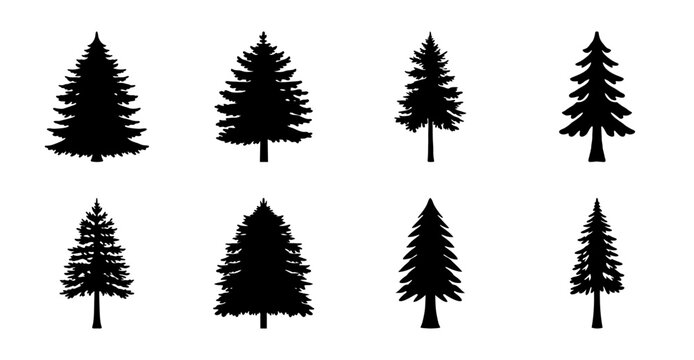 Eight black silhouetted pine trees illustration - A clean and minimalist set of eight black pine tree silhouettes arranged in two rows of four, ideal for nature-themed designs and vector graphics.