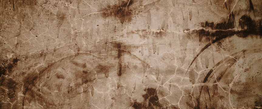 Ancient cave paintings of complex animal shapes on stonetextured brown wall in lascaux suitable for history and art content.