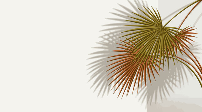 Minimalist interior background featuring palm fronds casting shadows on a white wall. Vector Illustration