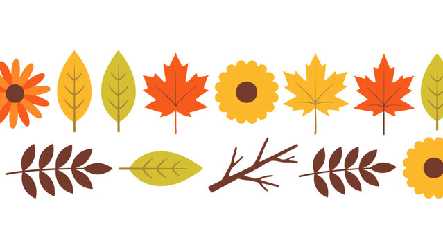 Autumn leaves and flowers in various colors on white background