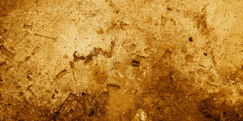 Ideal for backgrounds, textures, archaeology materials, geological studies, and educational resources about ancient fossils and stone surfaces. Great for presentations. © Dinamartina93