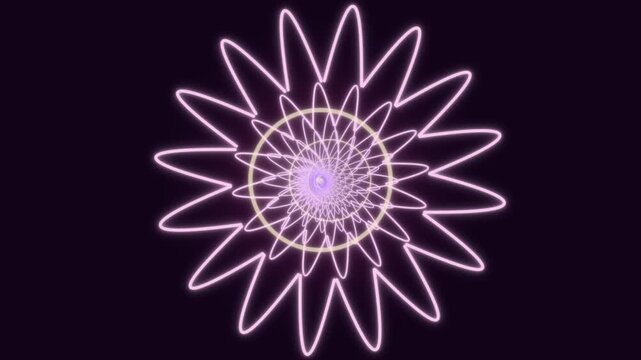 Spinning flower patterns in purple light on dark background