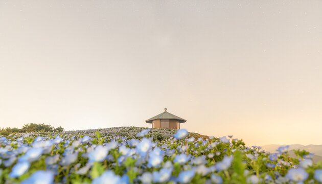 ネモフィラの花畑